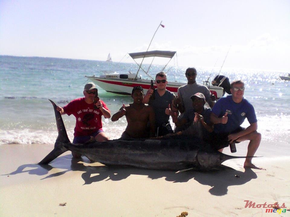 2008' Tremlett photo #5