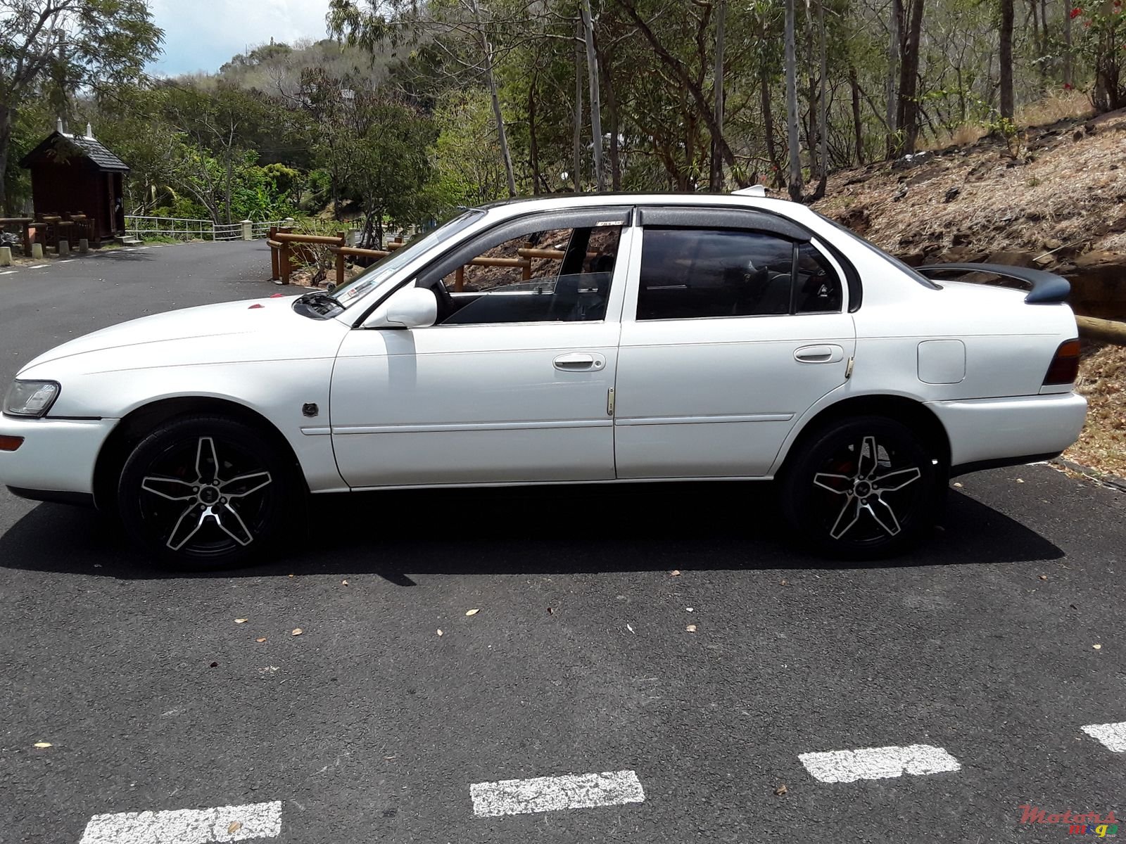 1992' Toyota Corolla photo #1