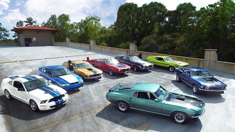 One family named Speed, one passion, eight Mustangs