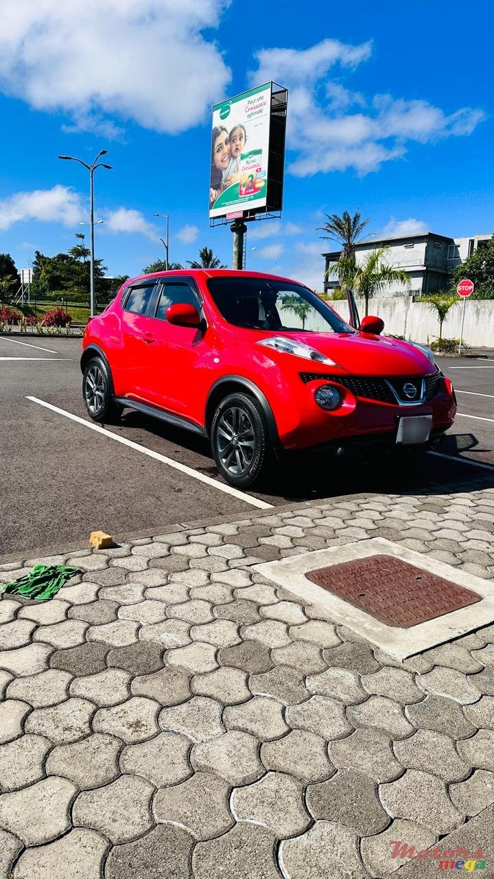 2013' Nissan Juke photo #2