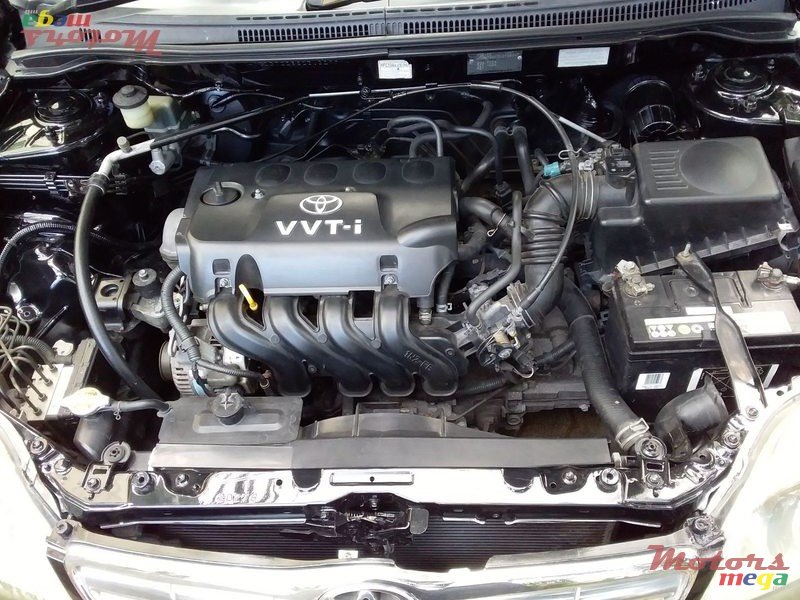 2002' Toyota Corolla photo #3