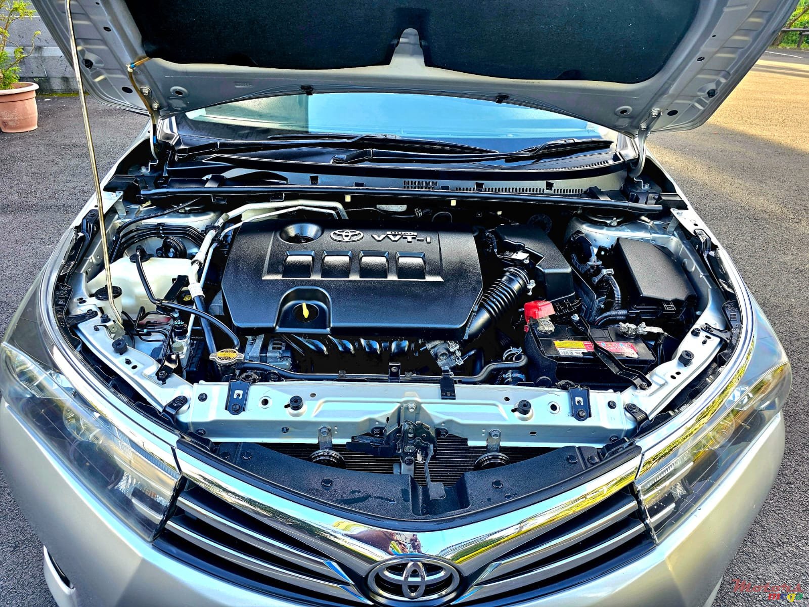 2016' Toyota Corolla photo #5