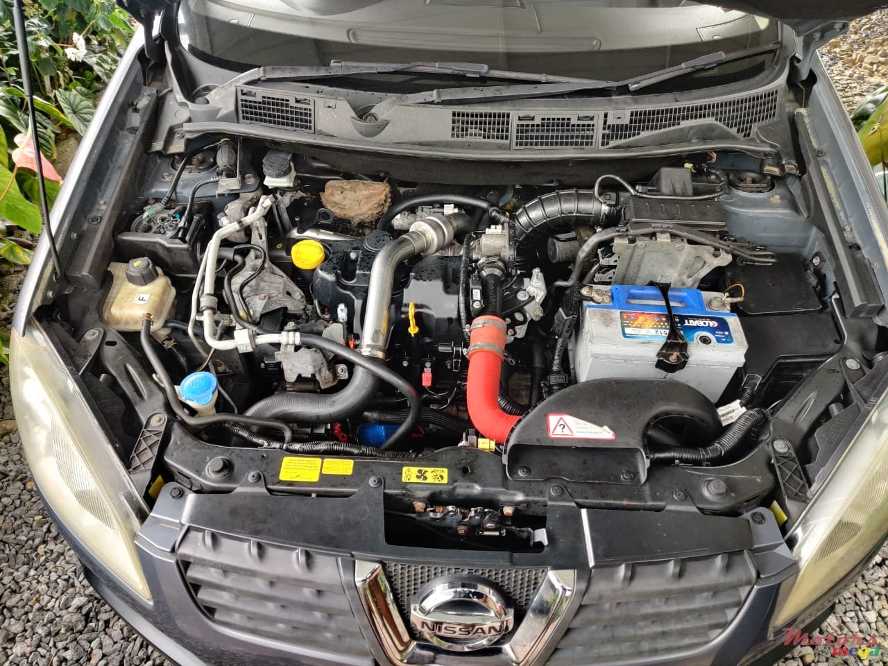 2008' Nissan Qashqai photo #7