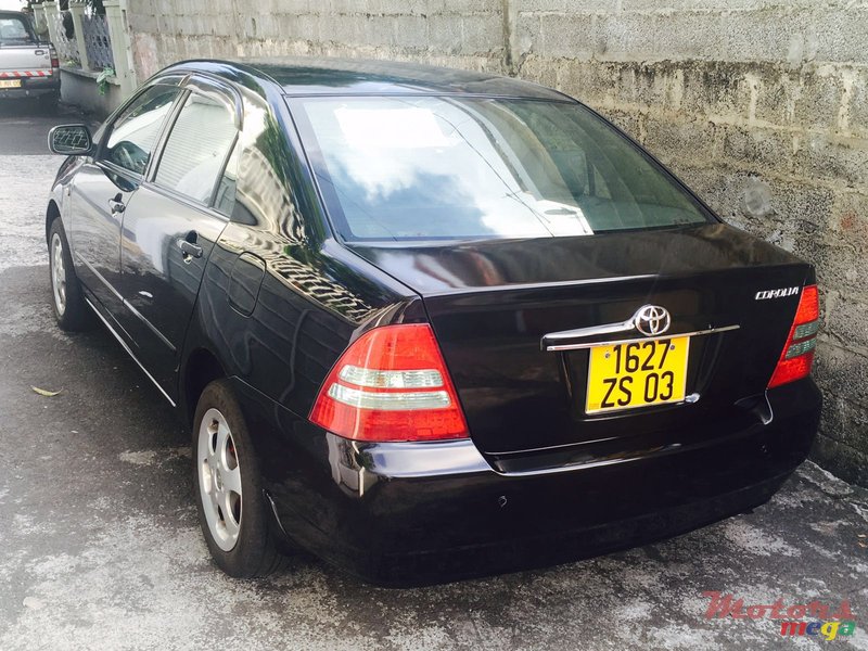 2003' Toyota Corolla NZE XLi JAPAN photo #3