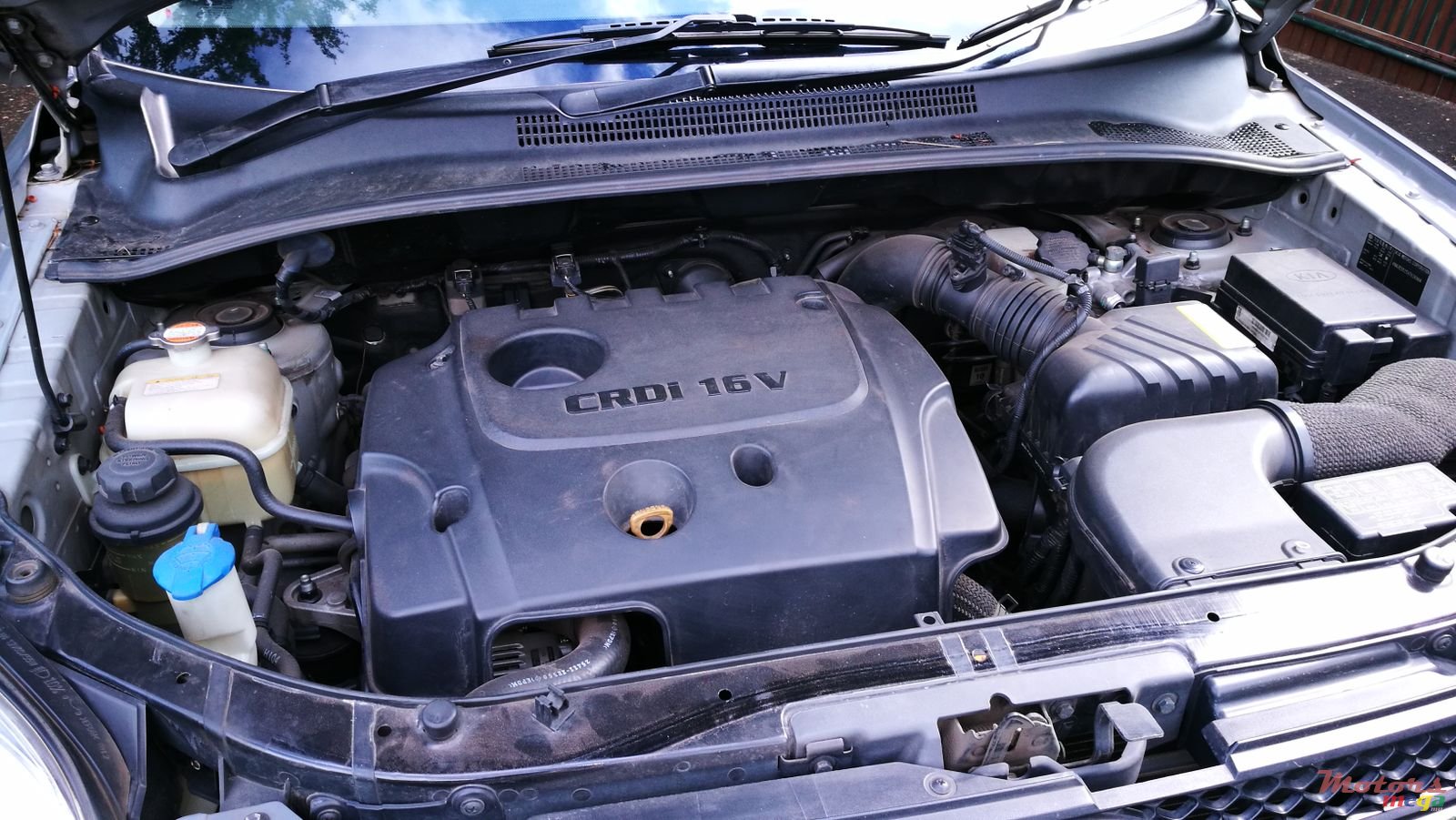 2010' Kia Sportage 4x4 photo #6