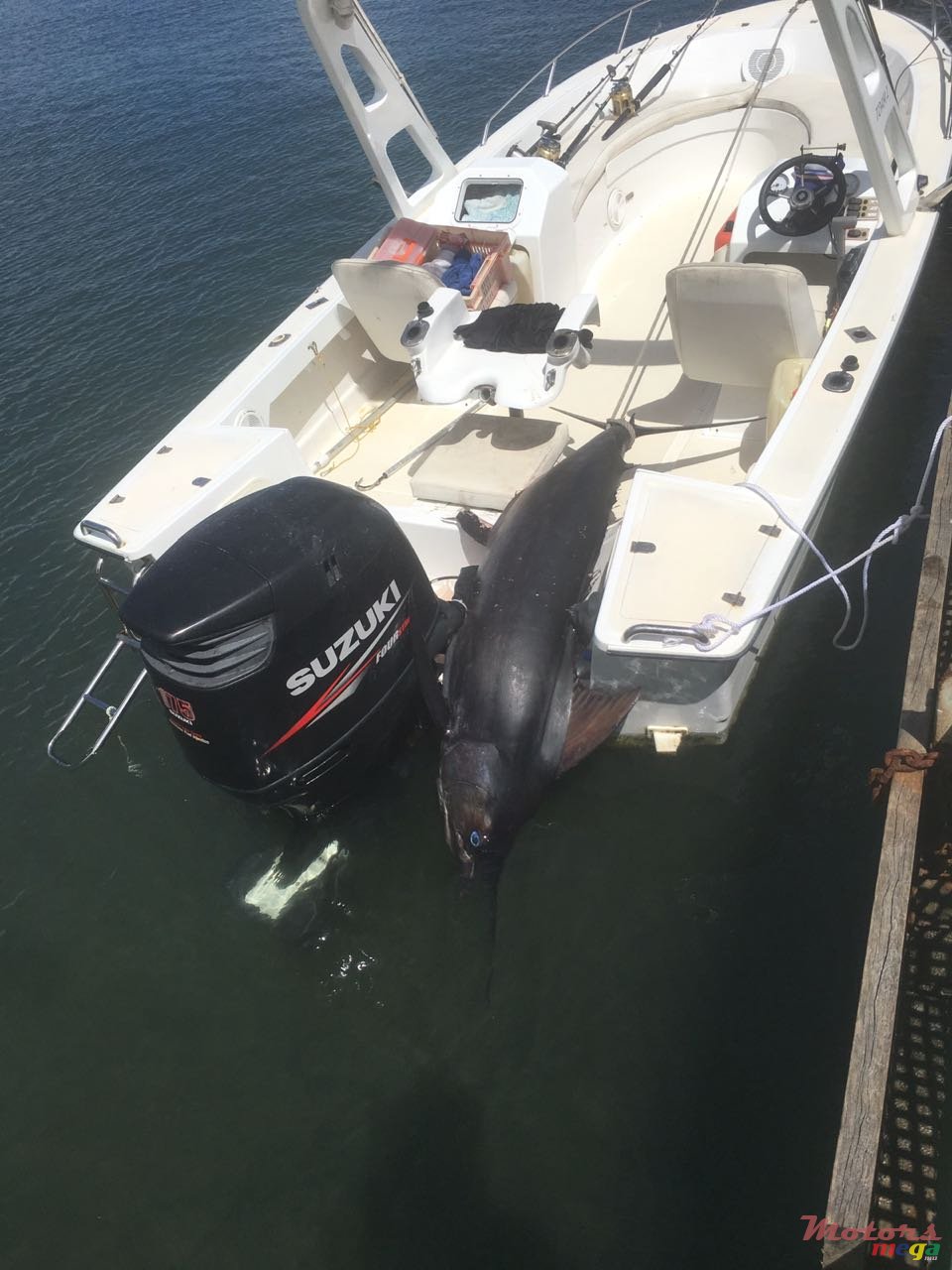 2013' Speedstar photo #2