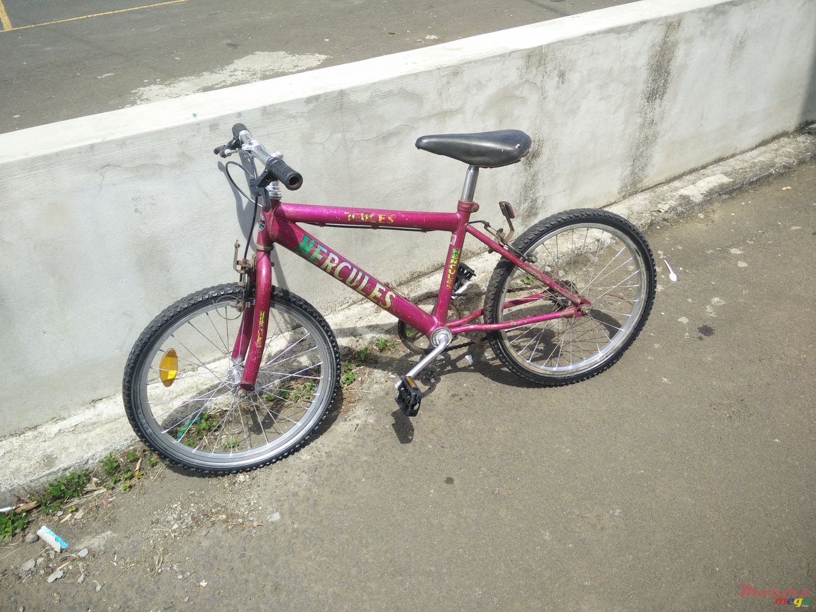 2004' Hercules photo #4