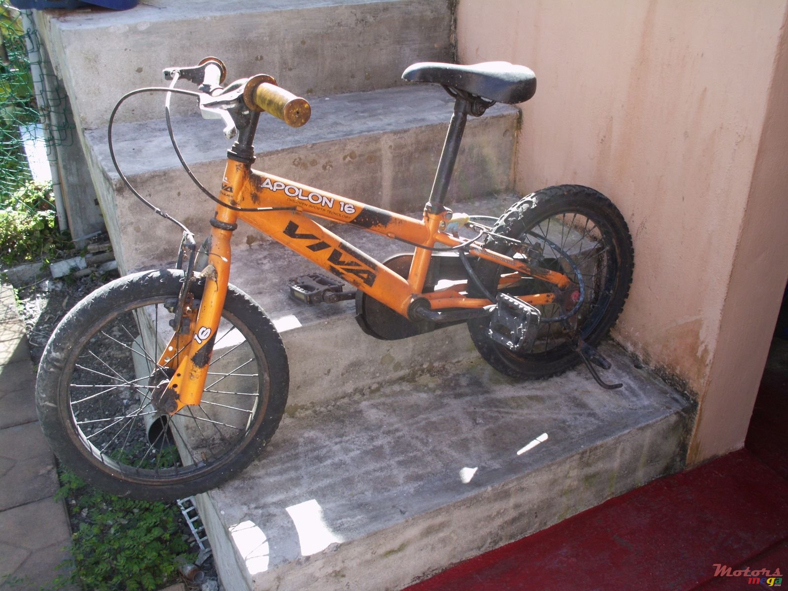 2015' Viper photo #1