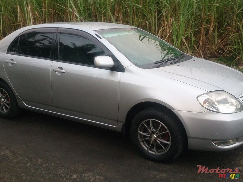 2000' Toyota Corolla NZE  photo #1