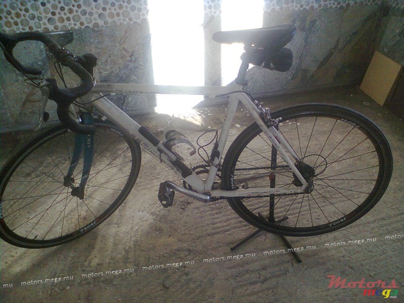 2000' Champ photo #1