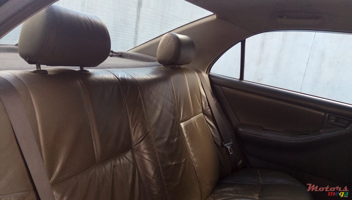 2003' Toyota Corolla photo #1