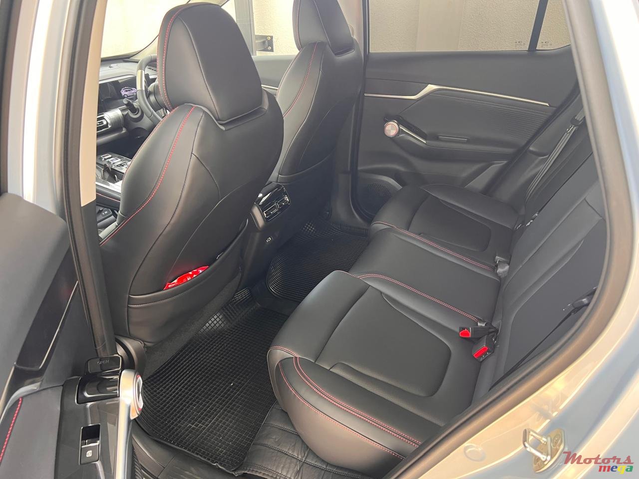 2025' Gonow photo #5