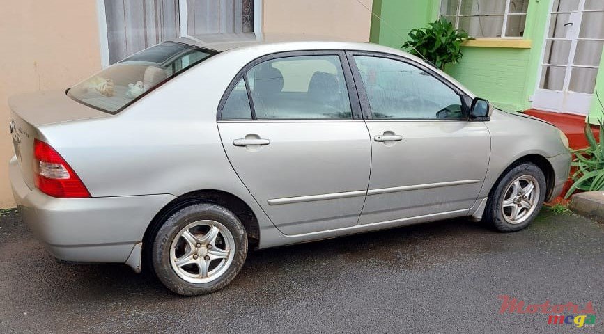 2001' Toyota Corolla NZE photo #1