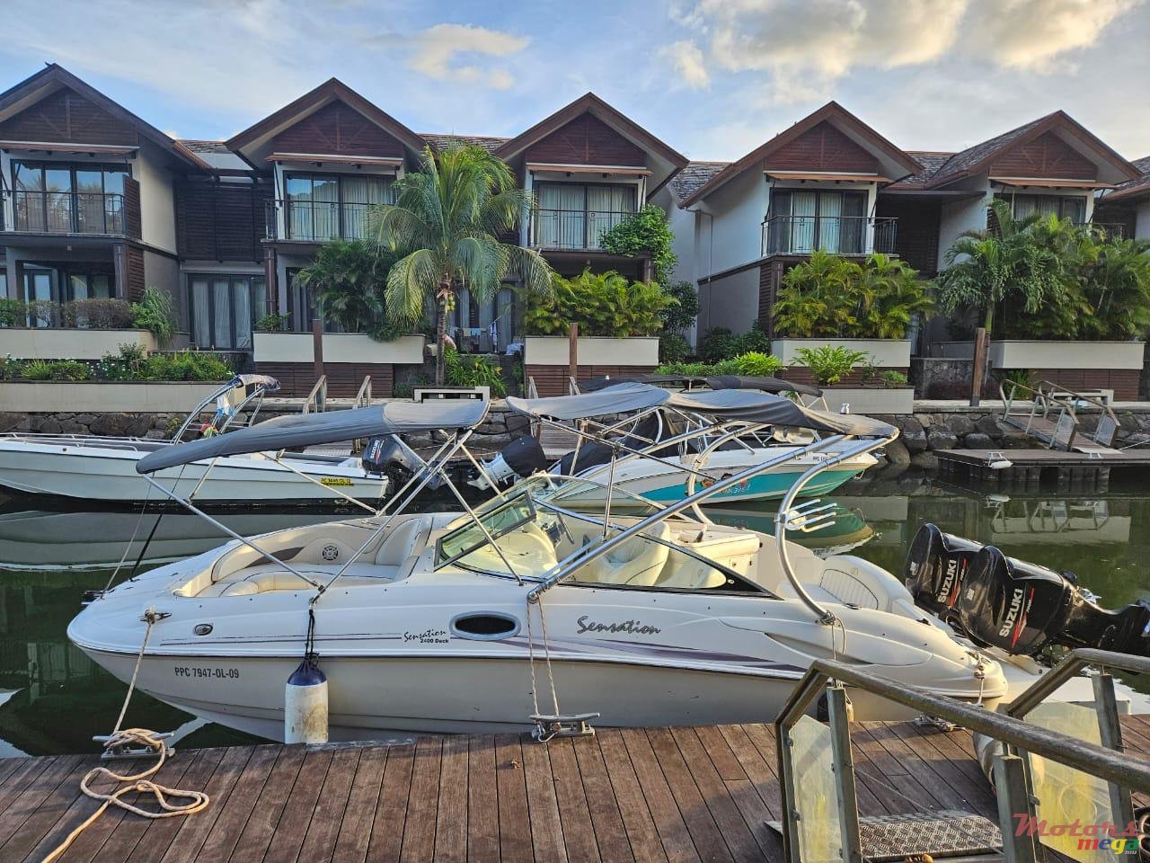 2012' Sunsation photo #4