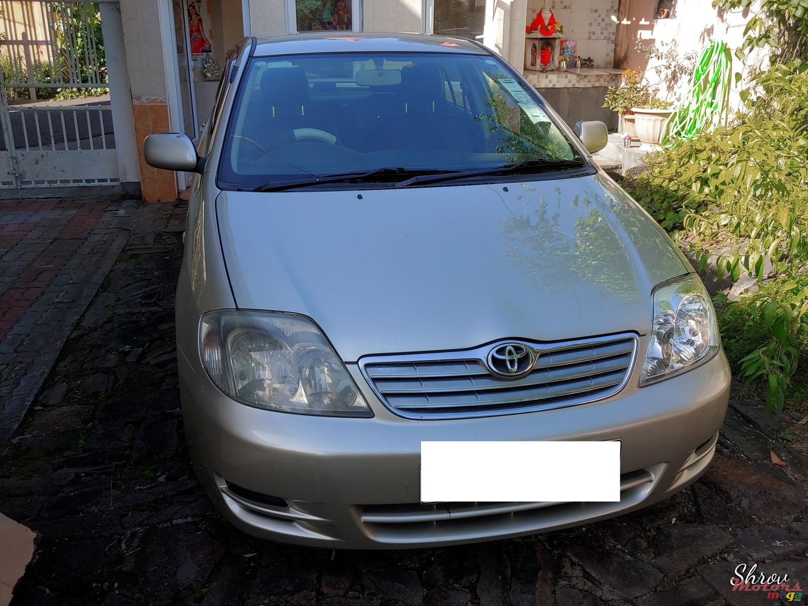 2002' Toyota Corolla NZE photo #2