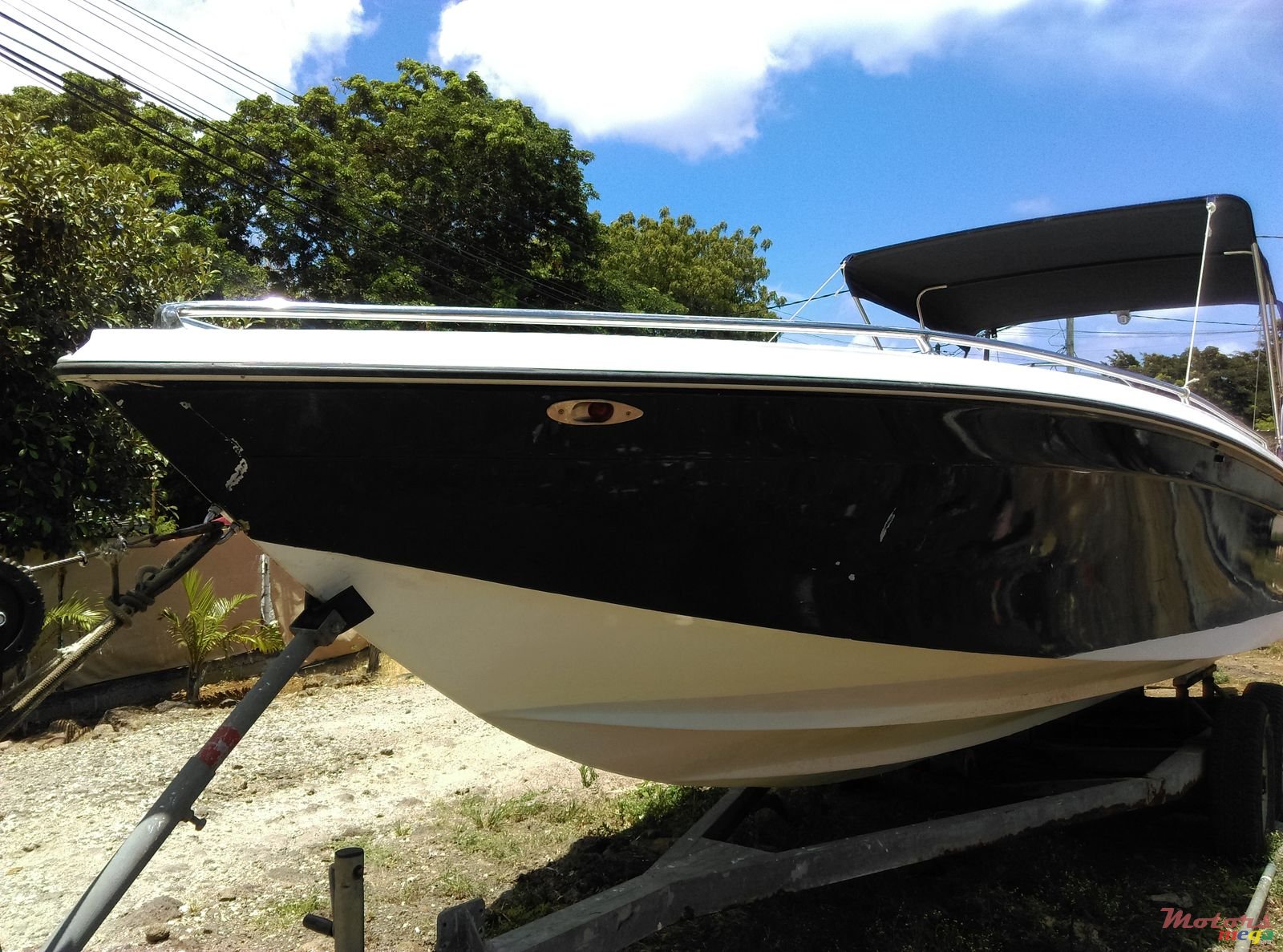 2009' Cobra photo #2