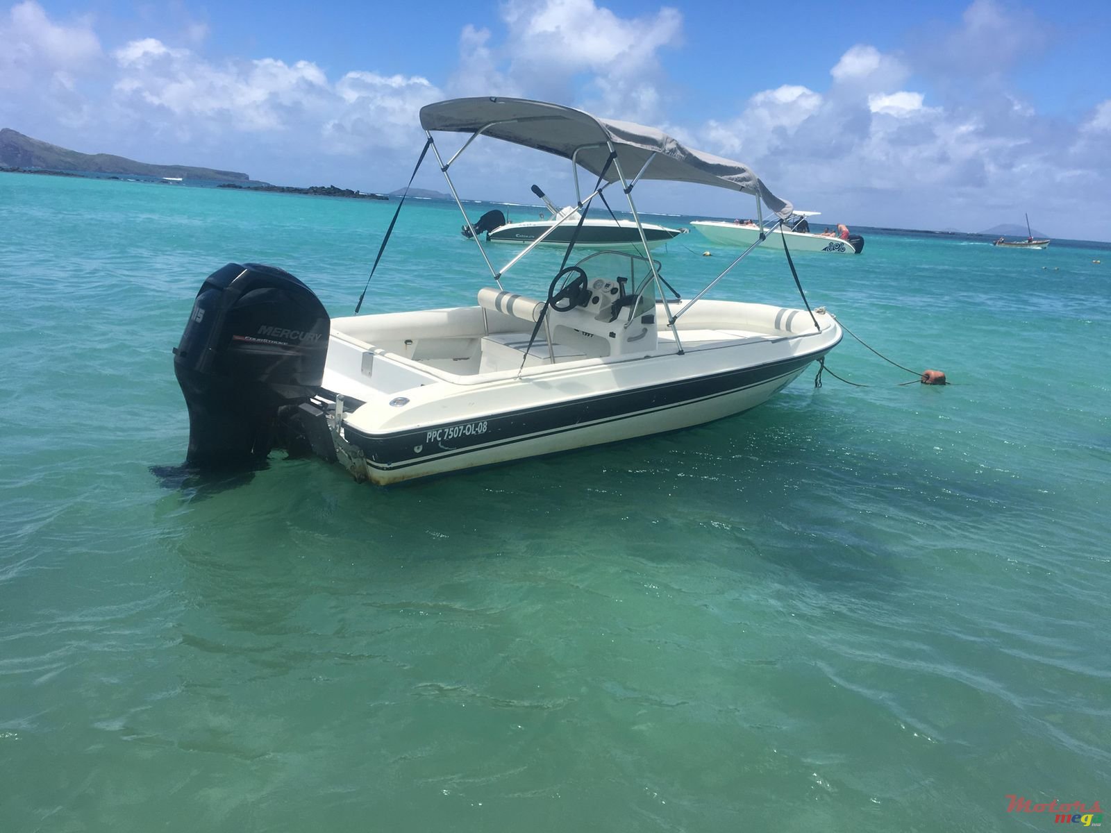 2012' Cobra photo #2