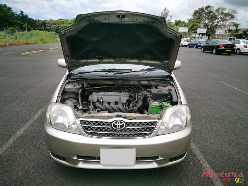 2002' Toyota Corolla NZE photo #6