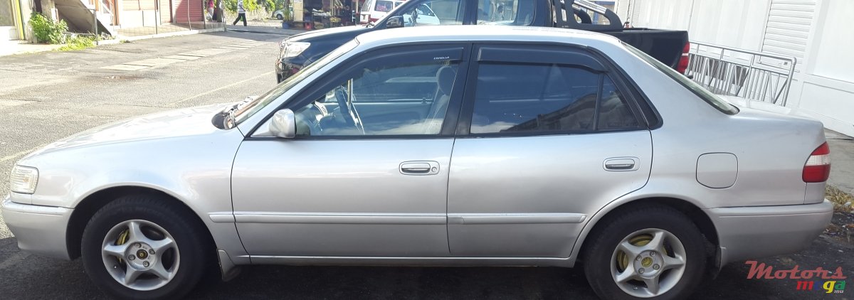 1999' Toyota Corolla photo #1