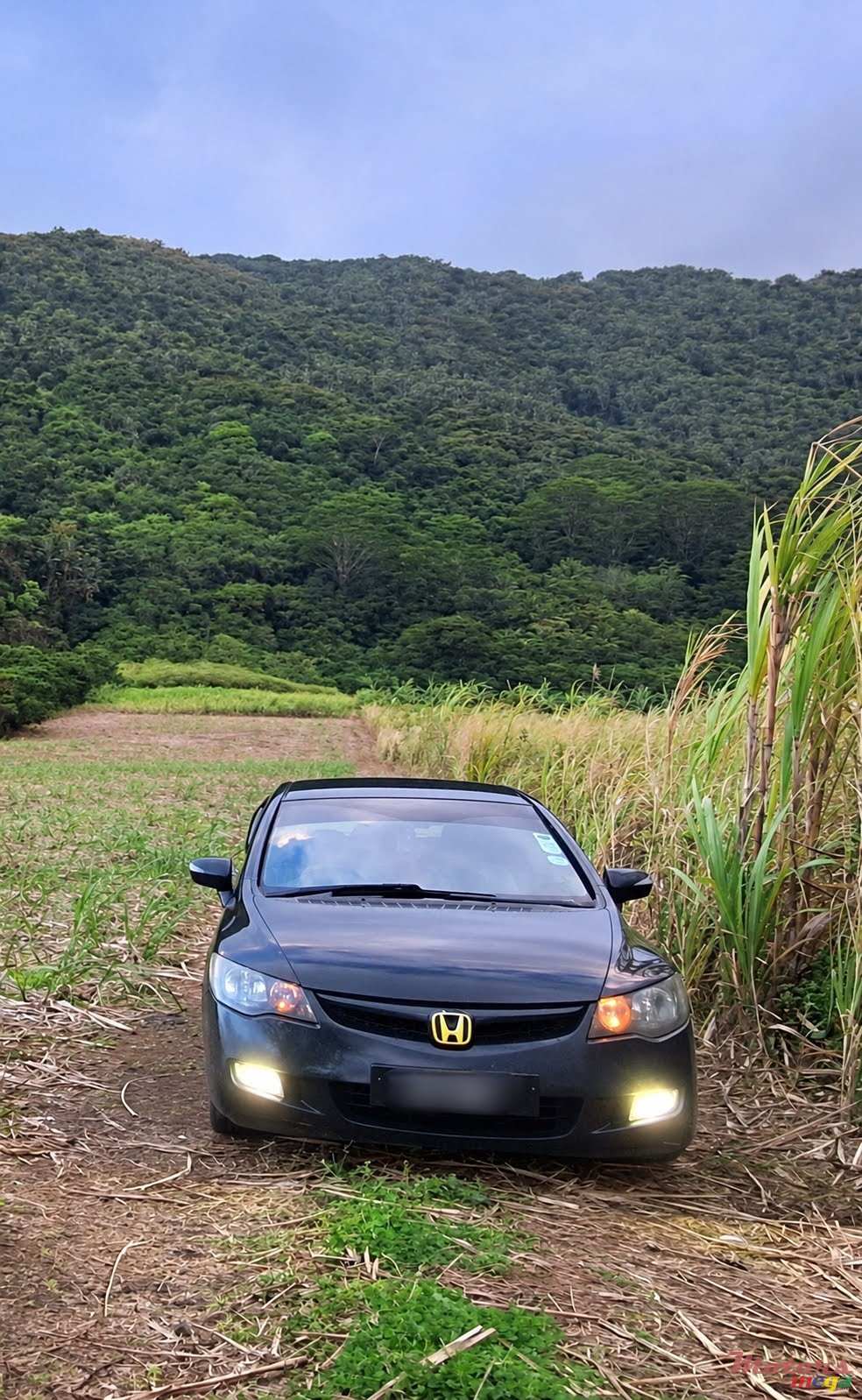 2006' Honda Civic photo #3