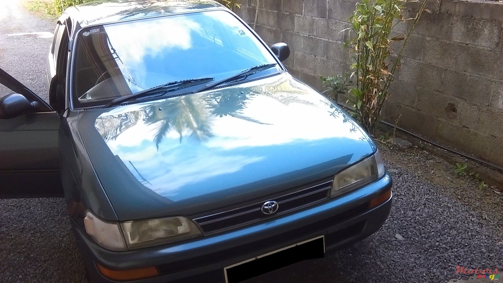 1994' Toyota Corolla photo #1