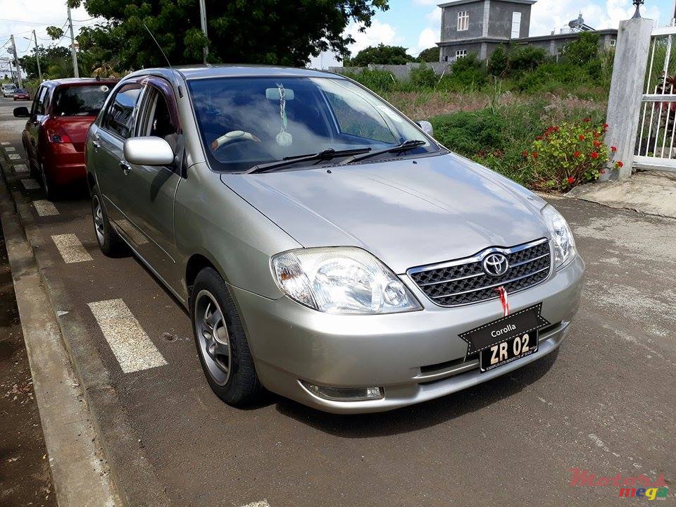 2002' Toyota Corolla NZE photo #1