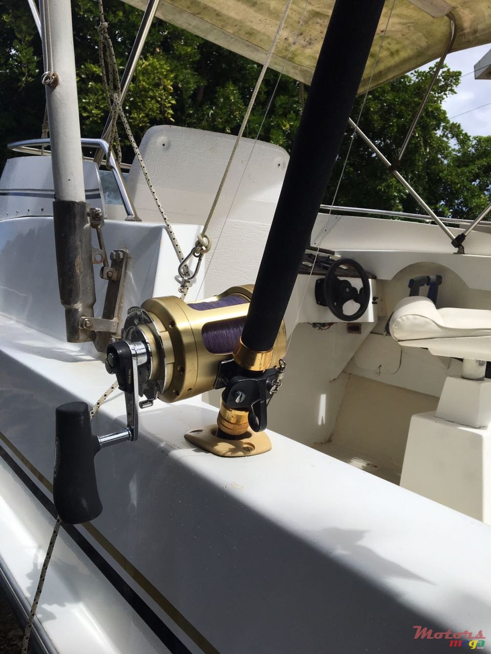 2008' Custom Line photo #3