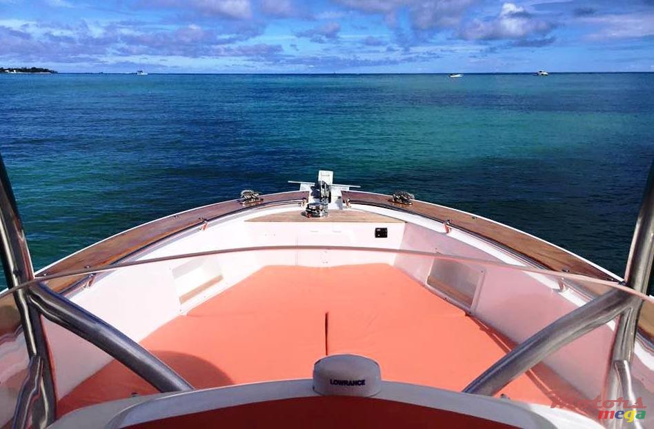 2016' Suzuki TECHMARINE 260 photo #2