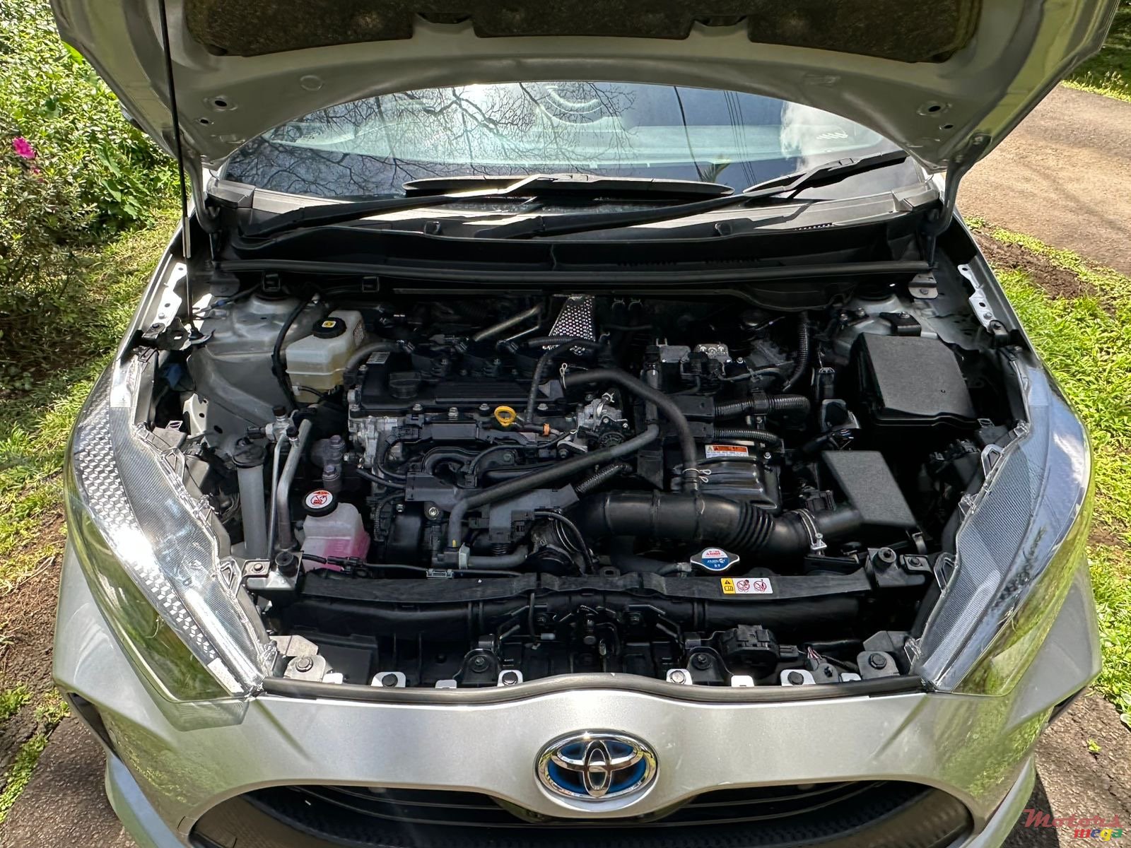 2021' Toyota Yaris photo #5