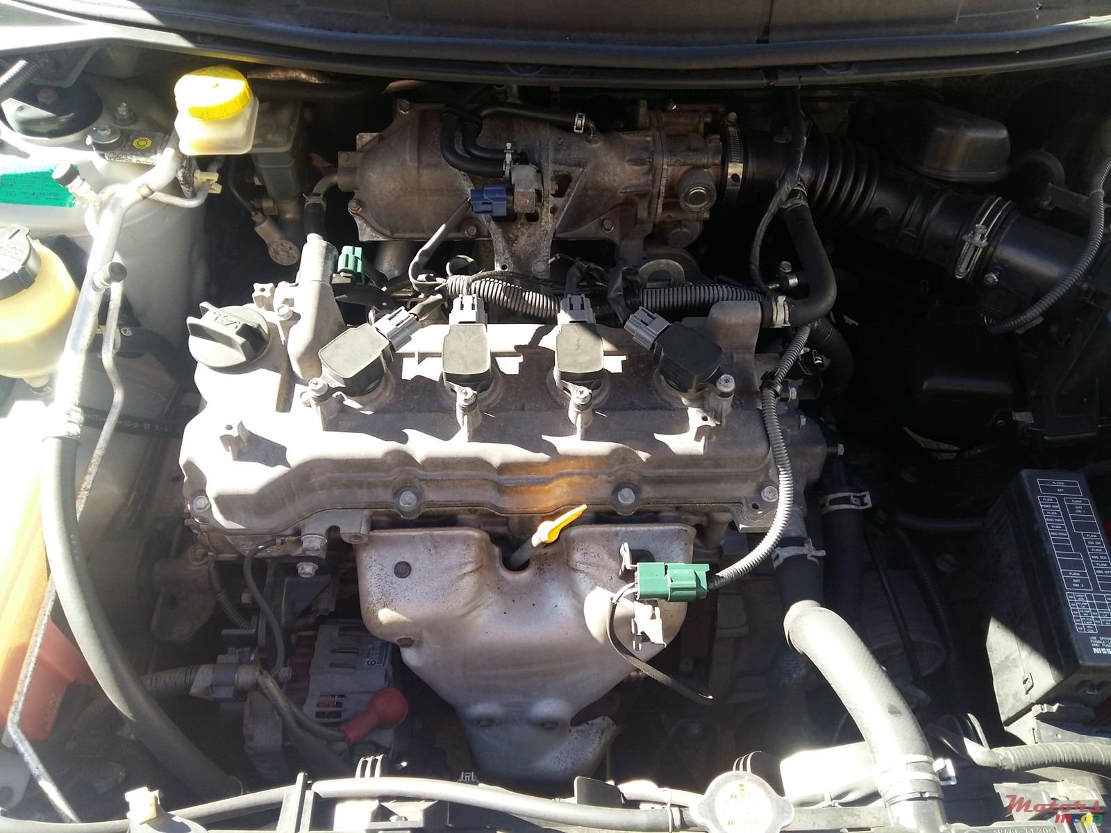 2008' Nissan Primera photo #3