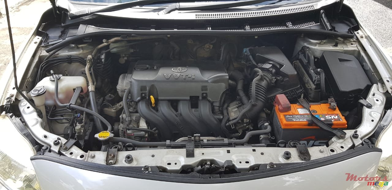 2009' Toyota Corolla GLI photo #5