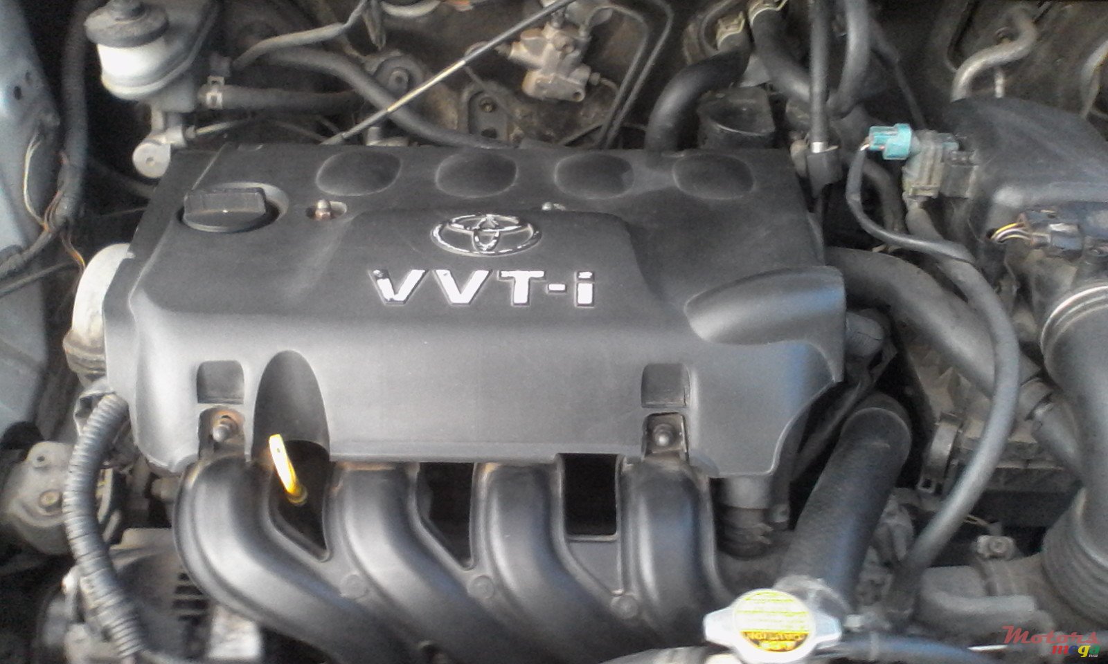 2000' Toyota platz photo #4