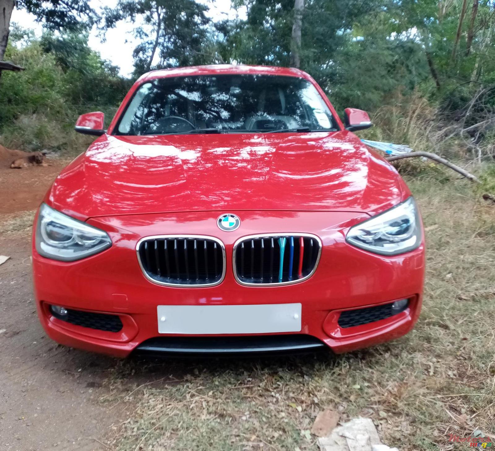 2013' BMW 116 photo #7