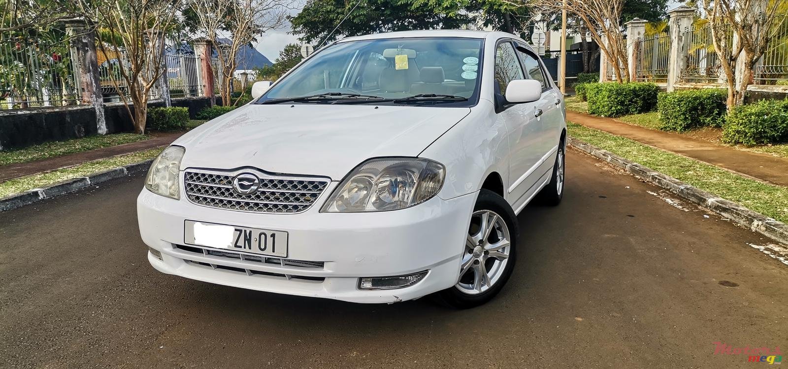 2001' Toyota Corolla photo #2