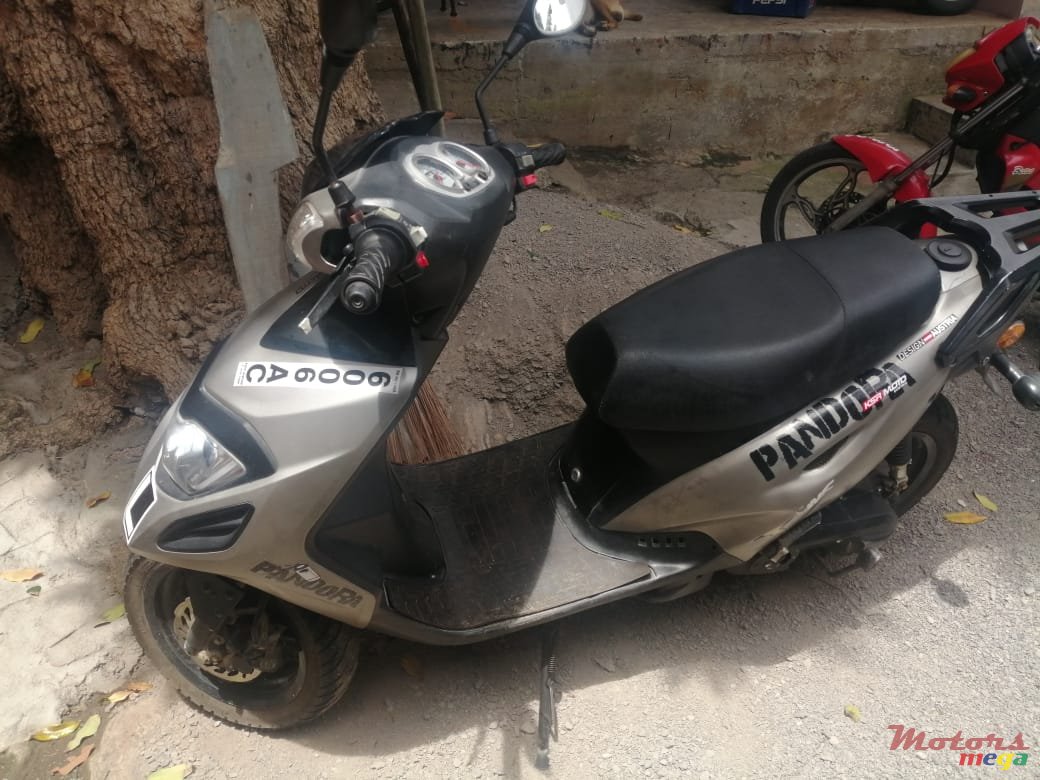 2017' Easy Rider photo #1