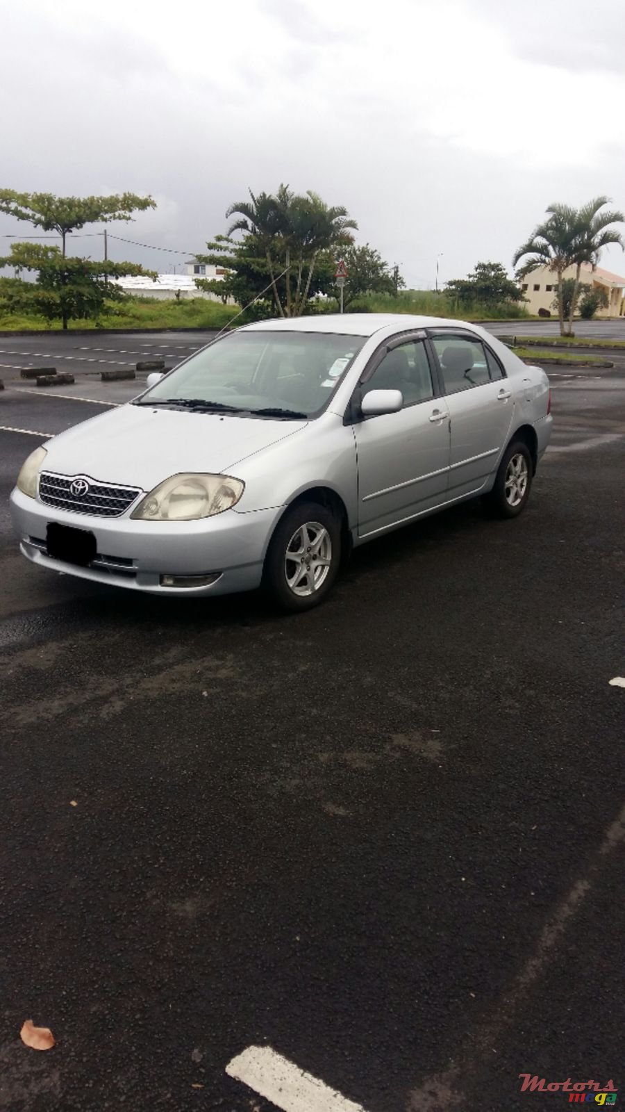 2002' Toyota Corolla photo #1