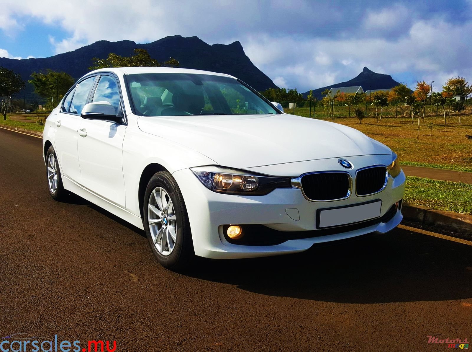 2013' BMW 316 i photo #2