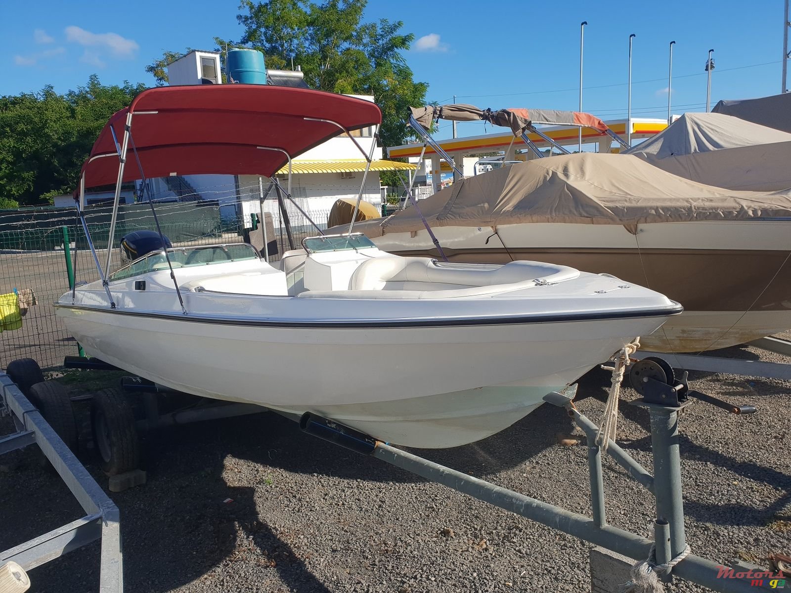 2005' Cobra photo #1