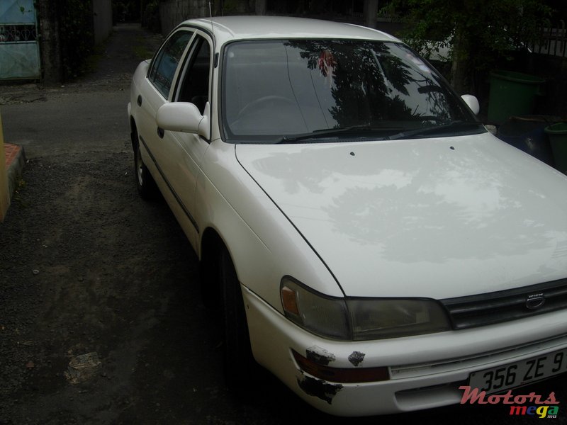 1991' Toyota Corolla photo #1