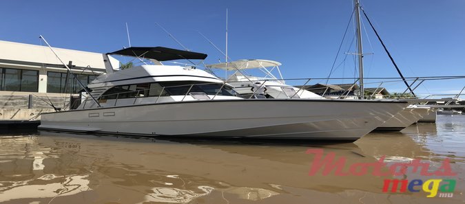 1994' Splendor photo #1