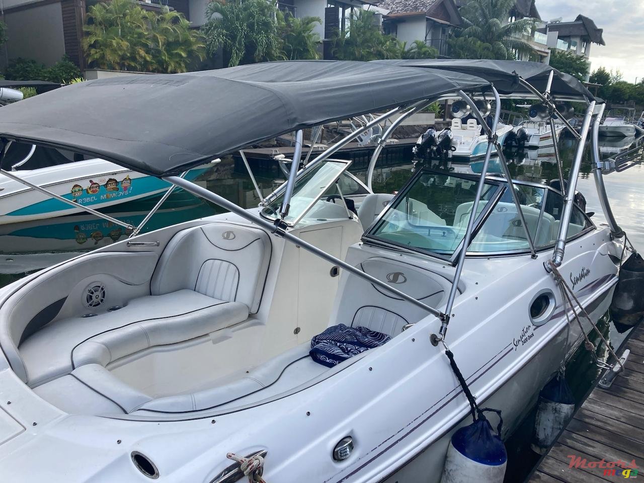 2012' Sunsation photo #3