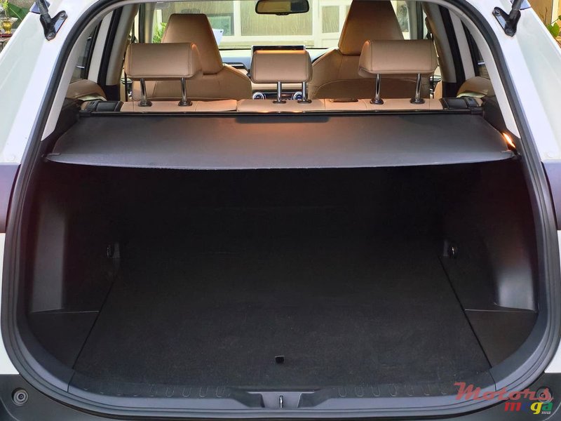 2021' Toyota RAV4 Luxury Edition photo #4