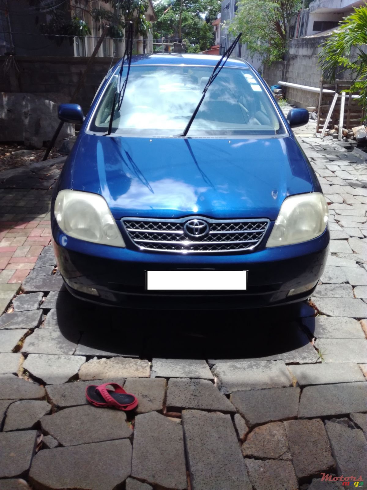 2002' Toyota Corolla photo #1