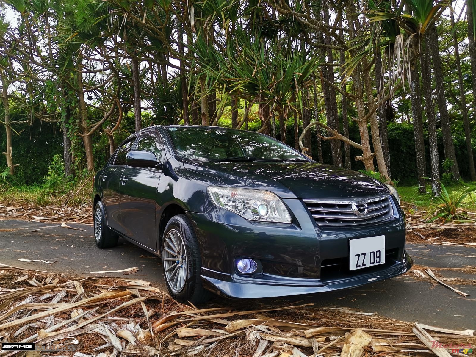 2009' Toyota Axio X Limited photo #2