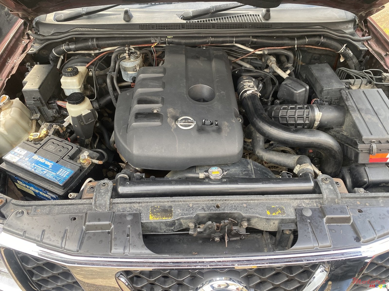 2009' Nissan Navara D-40 photo #7