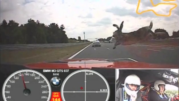 Bunny Couldn't Out Hop a BMW M3 On-Track