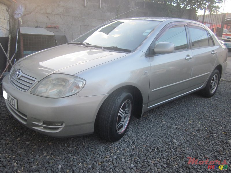 2003' Toyota Corolla NZE photo #1