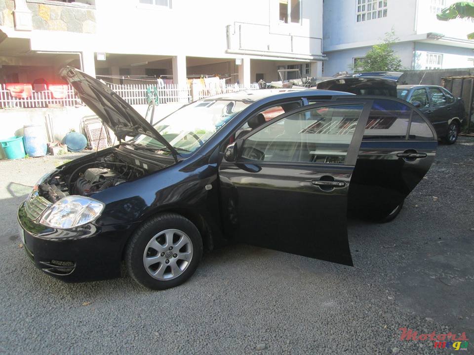 2003' Toyota Corolla NZE photo #7