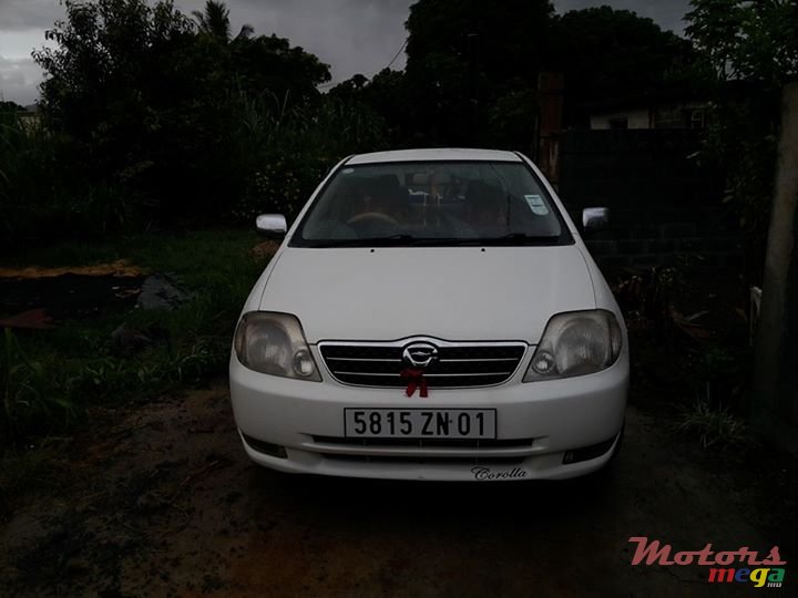 2001' Toyota Corolla NZE photo #1