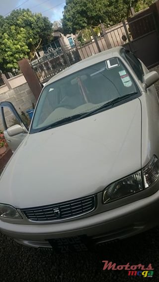 1998' Toyota Corolla photo #1
